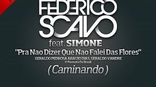 Federico Scavo Ft Simone  Pra nao dizer que nao falei das flores Caminando [upl. by Nerland255]