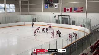 Tournament  Qtr Finals Jr 67s vs Toronto Nationals [upl. by Jorrie359]