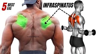 TOP 5 INFRASPINATUS MUSCLE WORKOUT AT GYM [upl. by Dysart]