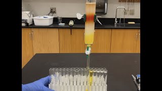 Column Chromatography [upl. by Lauer]