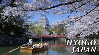 HYOGO JAPAN in 8K Winter Spring  兵庫 [upl. by Crist]