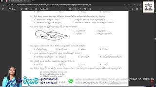 විද්‍යාව 8 ශ්‍රේණිය පලමු වාරය ගාල්ල රිච්මන්ඩ් විදුහල 2020 01 කොටස සිංහල මාධ්‍ය 2024 0 [upl. by Anaes]