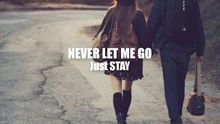 Never Let me Go  Lana Del Rey COVER Lyrics [upl. by Nlocnil950]