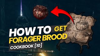 Elden Ring DLC  Forager Brood Cookbook 2 location to craft Hefty Fly Pot [upl. by Peatroy850]