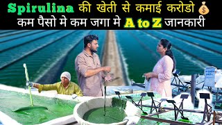 Spirulina की खेती कम जगा कम पैसे मे कमाओ करोडो Spirulina farming spirulina [upl. by Rhodes]