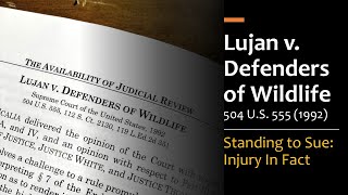 Lujan v Defenders of Wildlife  Standing to Sue [upl. by Belamy]