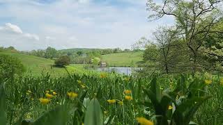 Winterthur Museum Garden and Library Delaware [upl. by Finny]