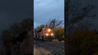 A BNSF SD70ACe Leads a UP  CPKC Grainer northbound bnsf cpkc k5lla [upl. by Hezekiah]