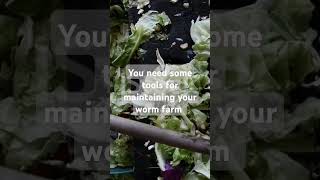 You need tools for maintaining your worm farm [upl. by Yrogiarc]