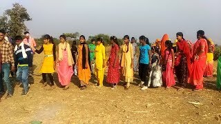 Lala tameti mane gami geli lala tameti Arjun hatila new song  Adivasi college girls Dance [upl. by Sirrad]