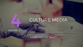 Culture Media [upl. by Roche]