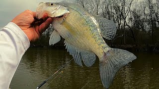 Crappie fishing just before they spawn [upl. by Amada]