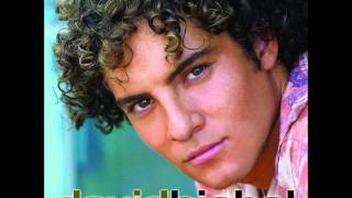 David Bisbal  Como seráwmv [upl. by Ainocal]