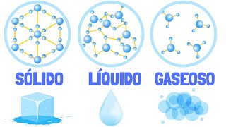 Los ESTADOS DE AGREGACIÓN DE LA MATERIA qué son y cuáles son con EJEMPLOS🤓🔬 [upl. by Gilbart]