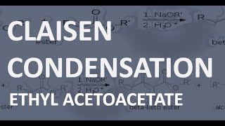 CLAISEN CONDENSATION ETHYL ACETOACETATE ncchem [upl. by Ssej]