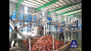 Fishmeal plant producing fishmeal and fish oil  A amp S Thai Works [upl. by Nnylharas392]