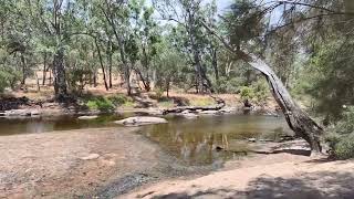 Toodyay Cobbler Pool Free Camp Near Perth Dog Friendly 66km From Midland Lovely Setting on the River [upl. by Eleph]