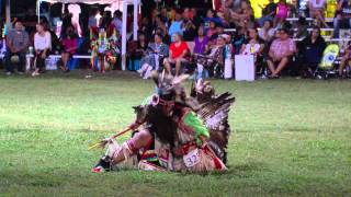 Oklahoma Indian Nations Powwow 2014 [upl. by Edyth111]