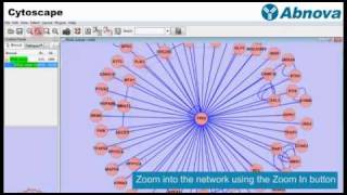 Cytoscape [upl. by Silloh]