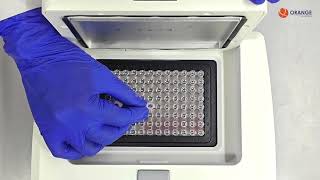 PCR TEACHING KIT [upl. by Iorgos]