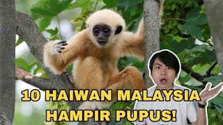 10 Haiwan Malaysia Hampir Pupus [upl. by Elbas]