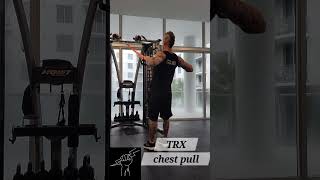 explanation TRX chest pull [upl. by Eisdnyl132]