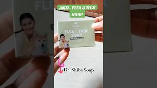 Dr Shiba Anti  Flea and tick soap httpsvttiktokcomZS2GUXfpG tiktokshop soapfordog fyp [upl. by Yerxa]