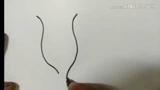 How to draw vorticella step by step [upl. by Selina]