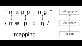 Orthographic mapping explainer [upl. by Nilrac]