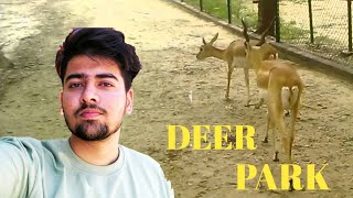 Deer Park Haryana Wala 🦌🦌🦌🦌 [upl. by Naaitsirhc]