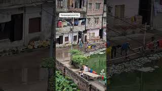 Pond life in Narayanganj [upl. by Herrmann788]