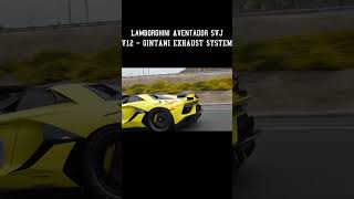 LAMBORGHINI AVENTADOR SVJ  GINTANI EXHAUST SYSTEM [upl. by Nonnaihr]