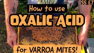 EVERYTHING You Need To Know About Oxalic Acid  HOW To Use It  Beekeeping 101 beekeeping [upl. by Htezil]