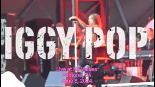 Iggy Pop live at No Values 2024 [upl. by Yoj]