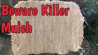 How to Avoid Using Herbicide Contaminated Mulch in Your Garden [upl. by Einiar326]