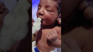 D10 for sucking power babybrotherviralvideo cutebaby mylittleprince godblessyou [upl. by Jenne738]