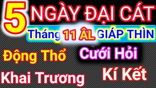 LỊCH NGÀY TỐT Tháng 11 ÂM LỊCH Năm 2024 Khai Trương Cưới Hỏi Động Thổ Cậu Thành Tử ViTướng Số [upl. by Naujal]