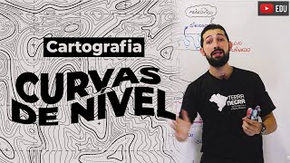 Curvas de Nível e Topografia Cartografia sem segredo [upl. by Dorrej]