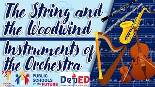 The String and the Woodwind Instruments of the Orchestra  GRADE 6 MUSIC LESSON [upl. by Eachern]