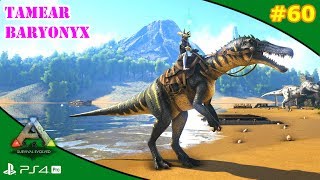 TAMEAR BARYONYX solo  ARK 60  Servidor Oficial PVE [upl. by Karla]