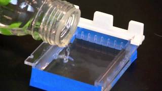 Casting an Agarose Gel [upl. by Shani]