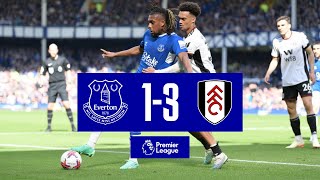 PREMIER LEAGUE HIGHLIGHTS EVERTON 13 FULHAM [upl. by Acisseg]