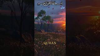 SURAH SAFF 61 Aayat 1013quran ktrkhan shorts ytshorts viralvideo [upl. by Mchail]