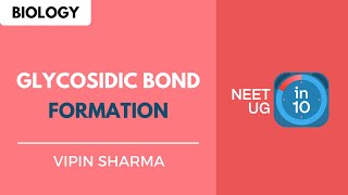 Glycosidic Bond Formation  NEET Biology  NEET UG in 10 [upl. by Thanasi]