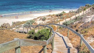 THE DOG BEACH  PERTH  WESTERN AUSTRALIA [upl. by Edijabab]