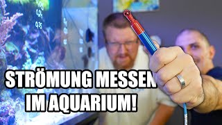 Strömung im MEERWASSERAQUARIUM messen  Neue Tunze Pumpe [upl. by Hazen]