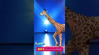 rap magic hiphop shorts human 🚶‍♀️transform into Giraffe🦒 Americas got talent giraffe 🦒🦒🦒 [upl. by Jerman696]