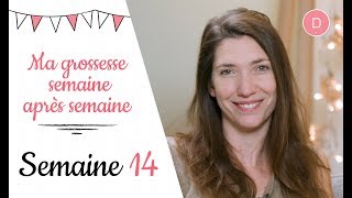 14ème semaine de grossesse – A qui demander des conseils [upl. by Anilesor]