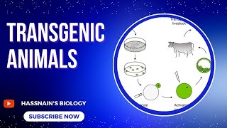 Transgenic Animals biologistasifsaleem0910 [upl. by Hteb]