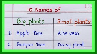 Big Plants and Small Plants  10 Name of Big plant and small plant  in English  Examples [upl. by Bomke]